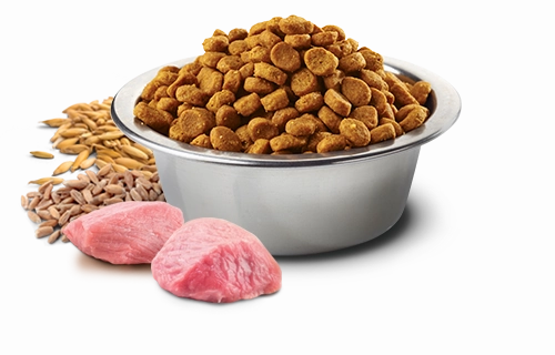 A.G. Dog Chicken Mini
