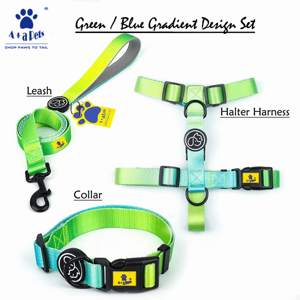 A Plus A Pets Skin Friendly Gradient Design Leash for Dogs (5ft, Green)