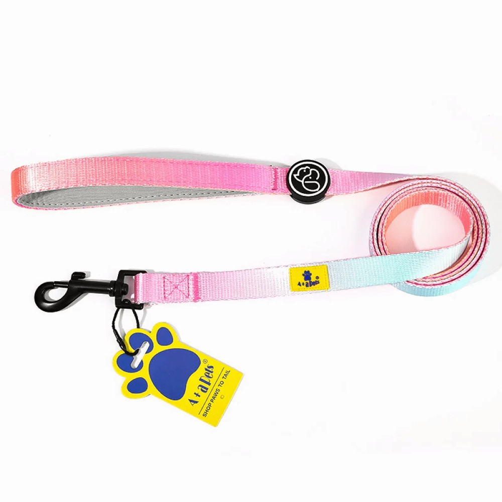 A Plus A Pets Skin Friendly Gradient Design Leash for Dogs (5ft, Pink)