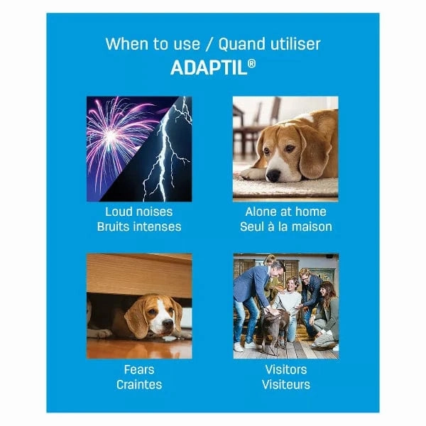 ADAPTIL 30 Day Refill