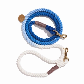 Adjustable Bolt Snaps Rope Dog Leash Cobalt Ombre