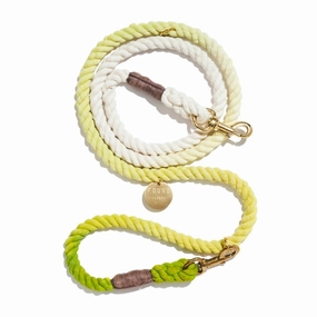 Adjustable Bolt Snaps Rope Dog Leash Lime Ombre