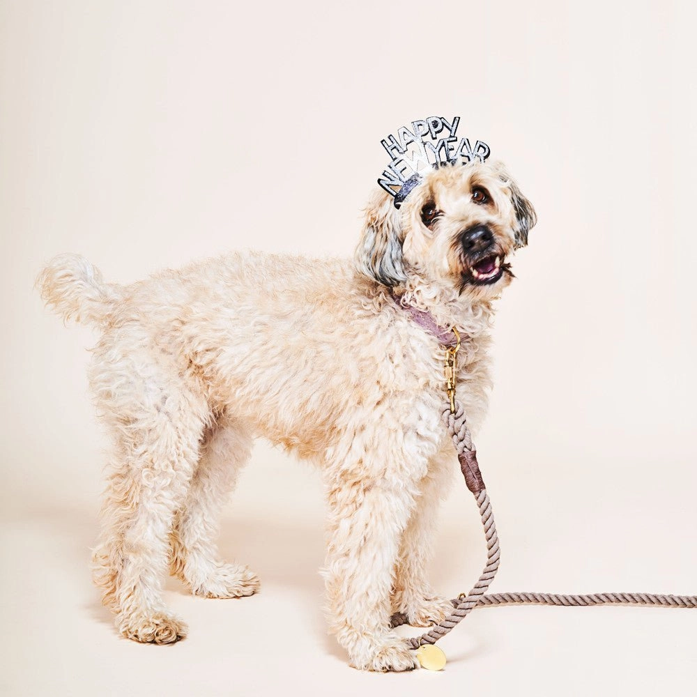 Adjustable Cotton Rope Dog Leash Dark Tan