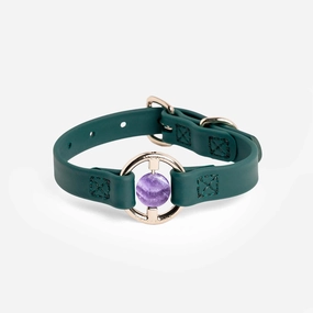 All Eyes On Me Dog Collar Jungle Green/Chevron Amethyst