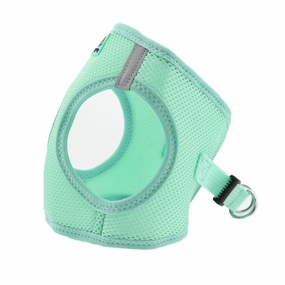American River Dog Harness Teal