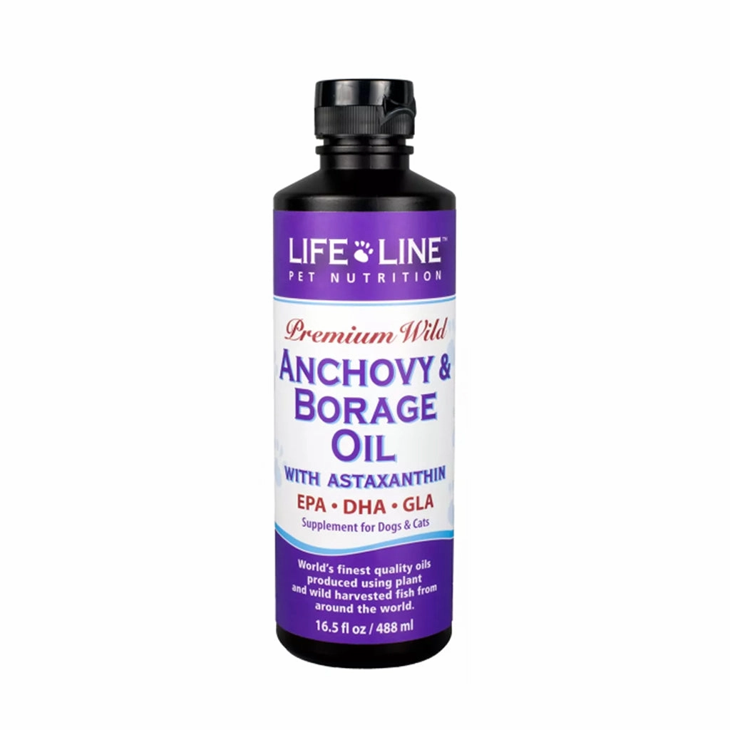 Anchovy & Borage Oil