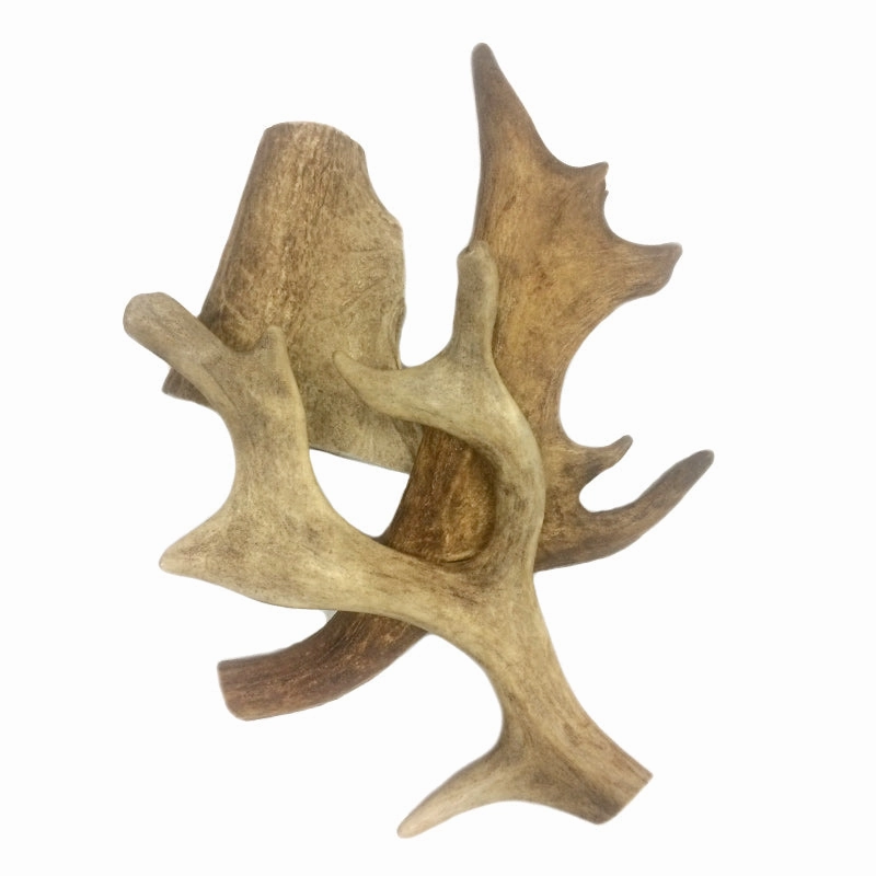 Antler - Paddle