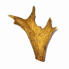 Antler - Paddle