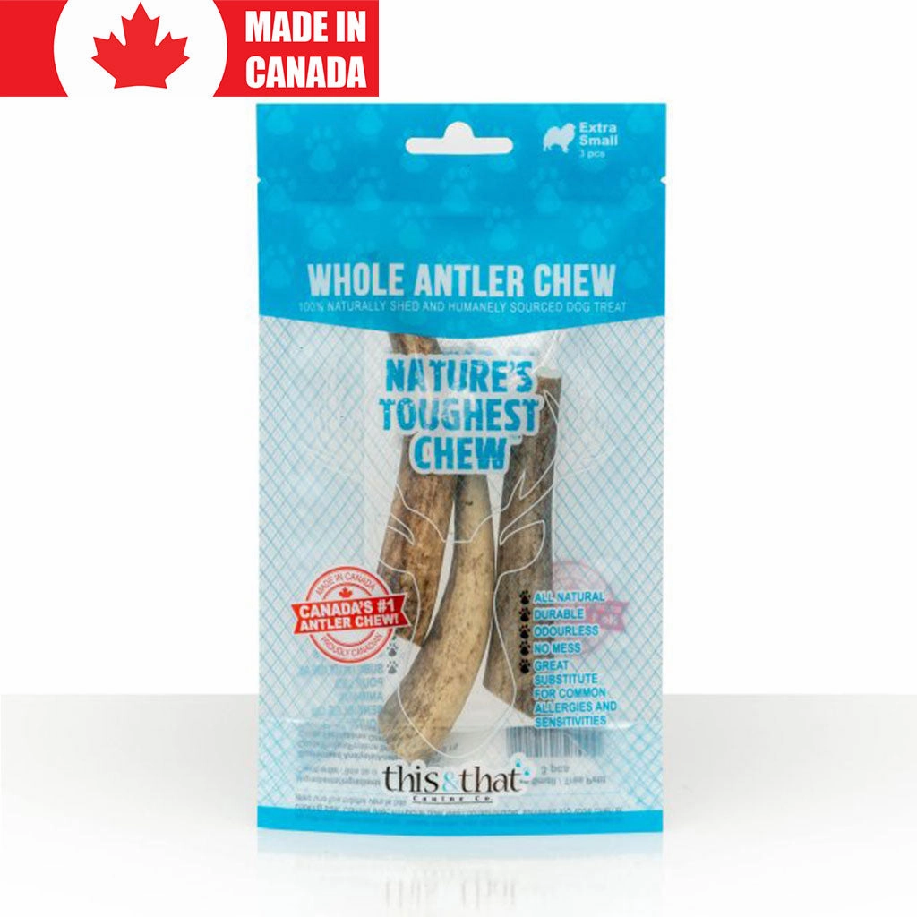 Antler