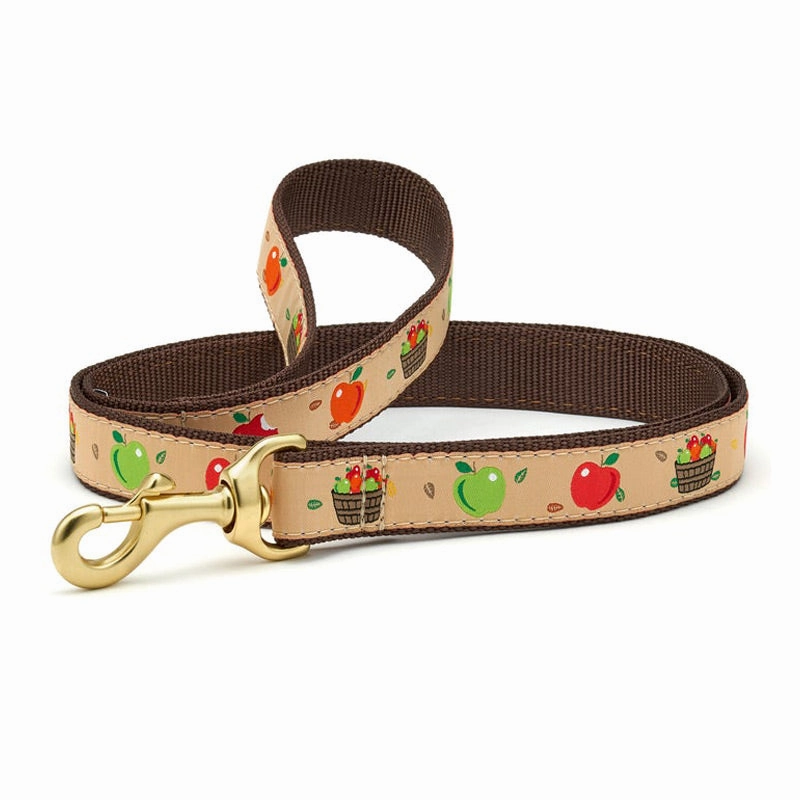 Apple Of My Eye Collar