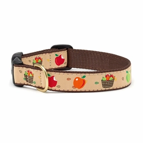 Apple Of My Eye Collar