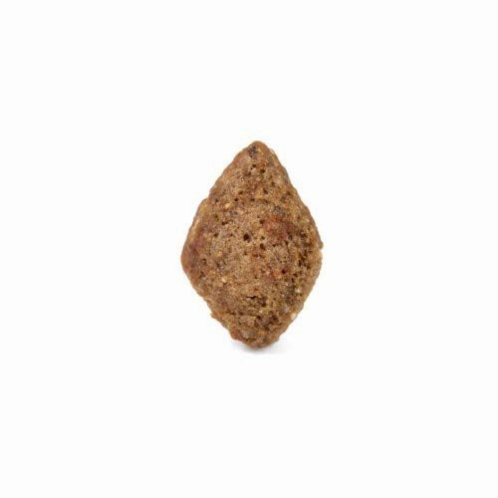 Arden Grange Adult Dog Dry Food | Salmon & Rice