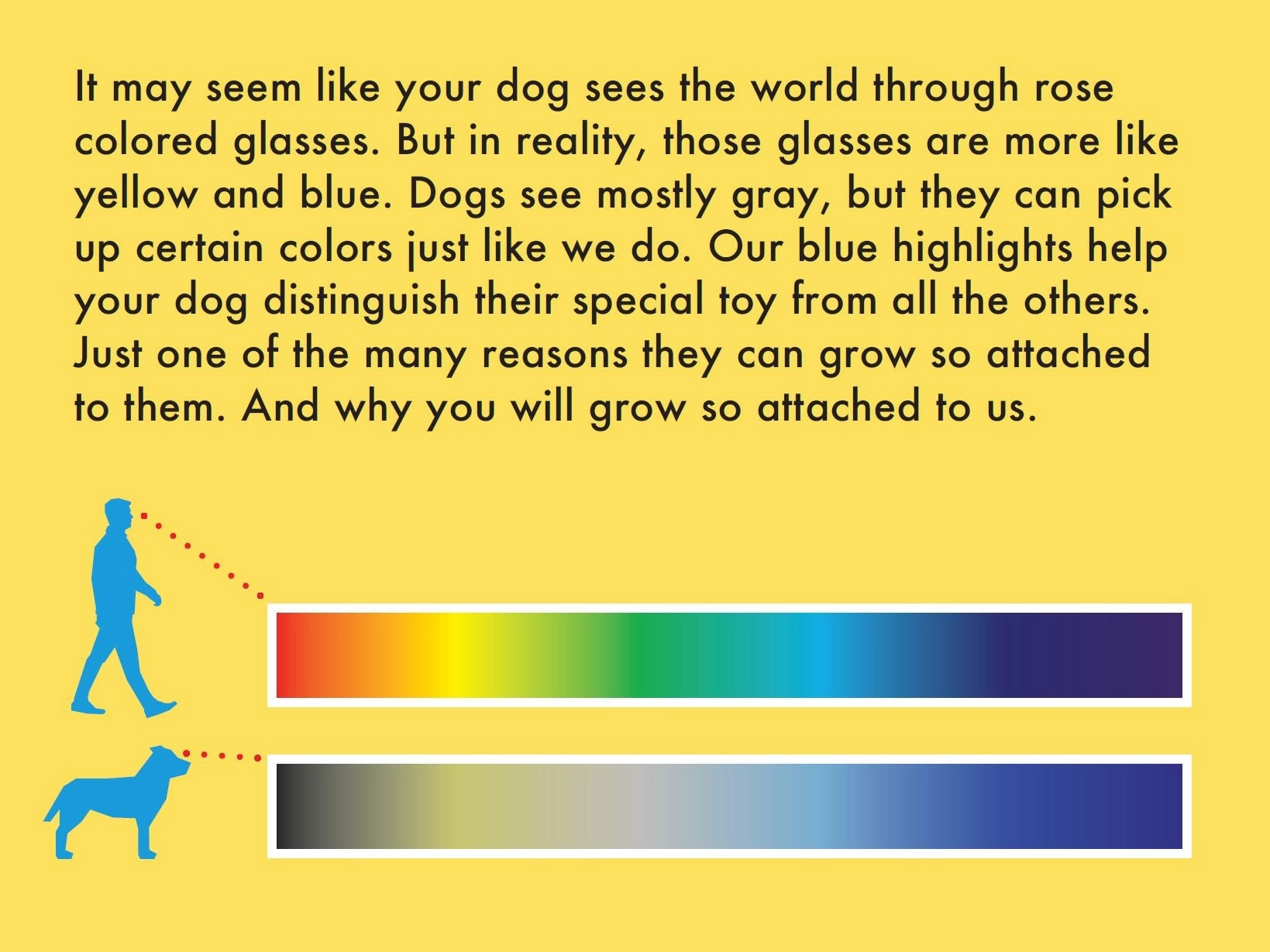 Attachment Theory Plush Bass Toy for Dogs