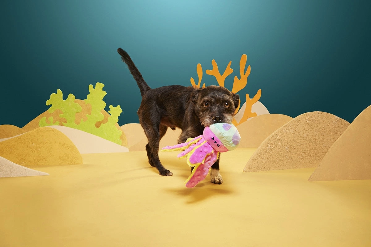 BARK Jellysquish Plush Dog Toy