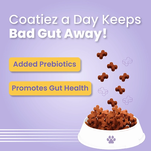 Bark Out Loud Coatiez Soft Chews Dog Treats