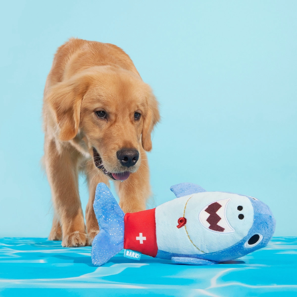 BARK Pool Shark Shane Plush Dog Toy