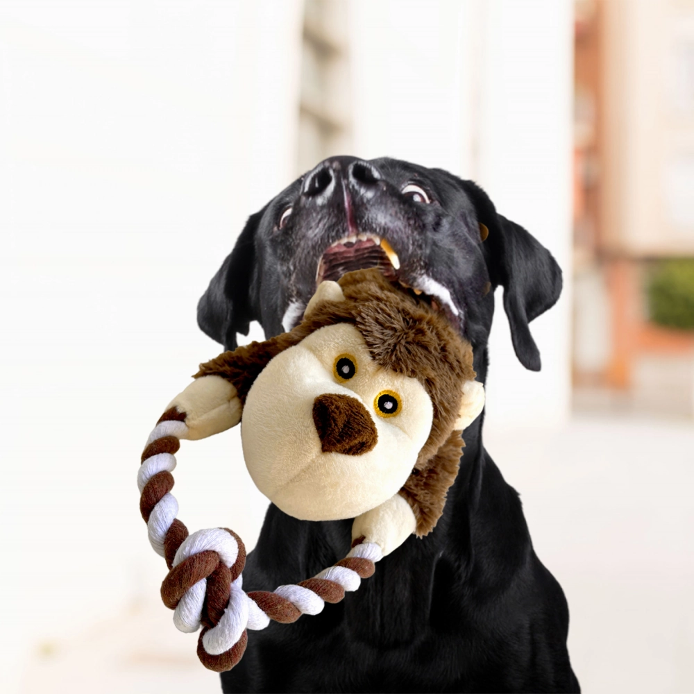 Barkbutler Knotty The Bear Plush Toy for Dogs