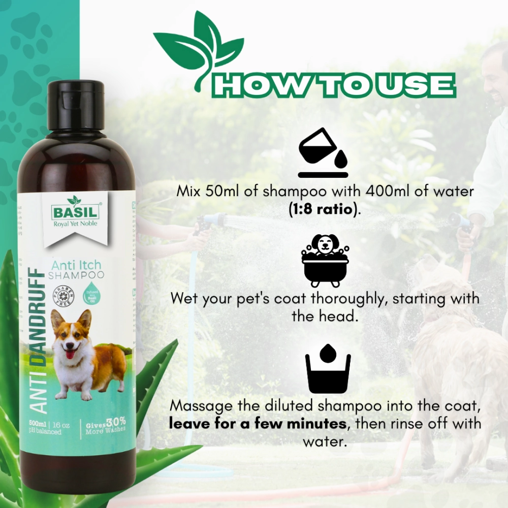 Basil Anti Dandruff & Anti Itch Shampoo for Dogs and Cats