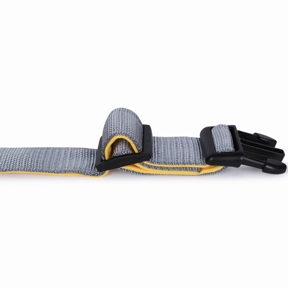 Basil Nylon Padded Collar for Dogs (Black)