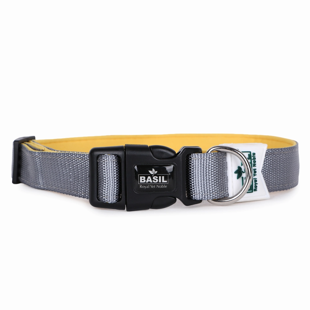 Basil Nylon Padded Collar for Dogs (Black)