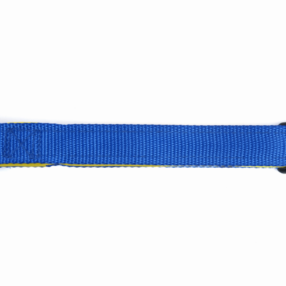 Basil Nylon Padded Collar for Dogs (Blue)