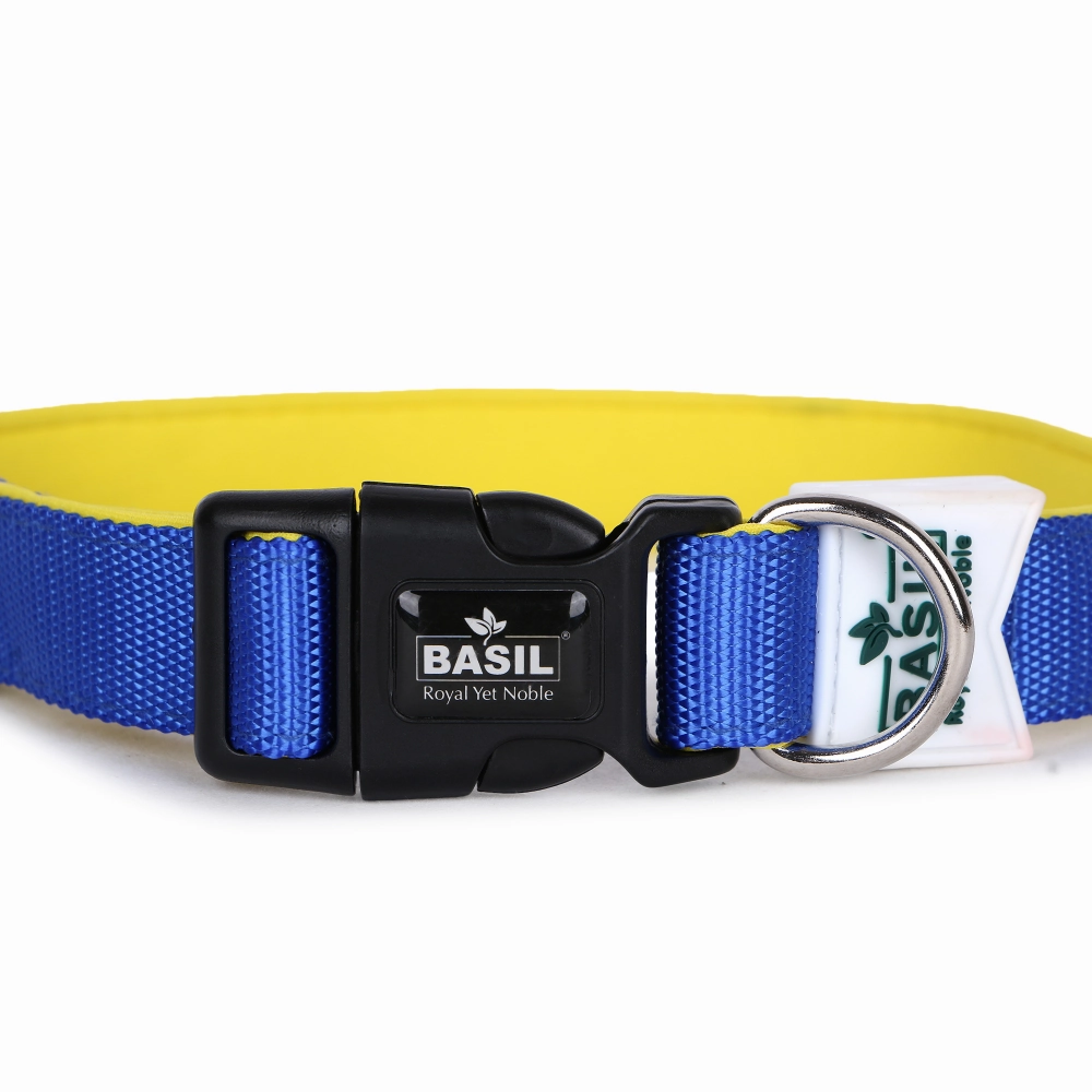 Basil Nylon Padded Collar for Dogs (Blue)