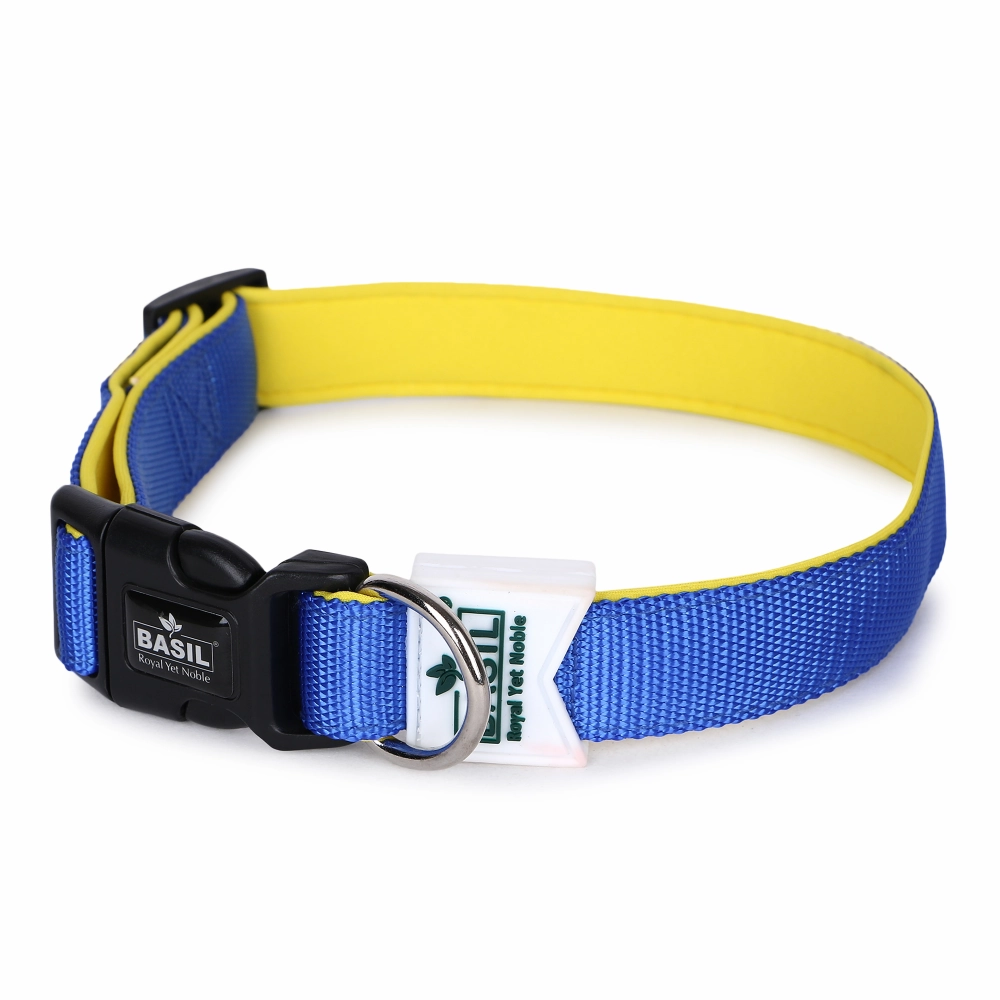 Basil Nylon Padded Collar for Dogs (Blue)