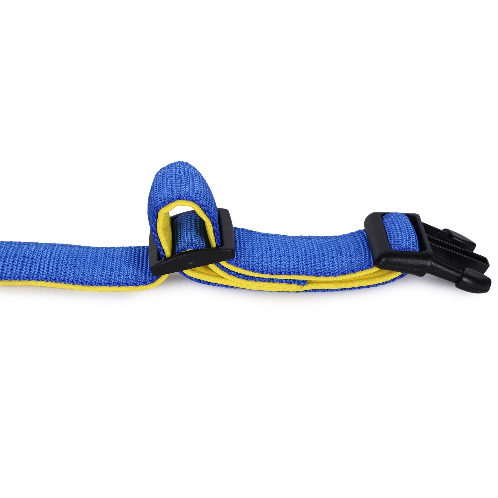 Basil Nylon Padded Collar for Dogs (Blue)