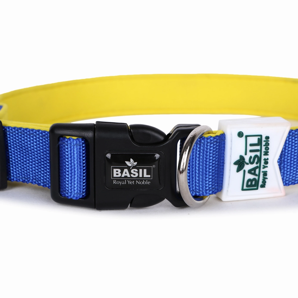 Basil Nylon Padded Collar for Dogs (Blue)