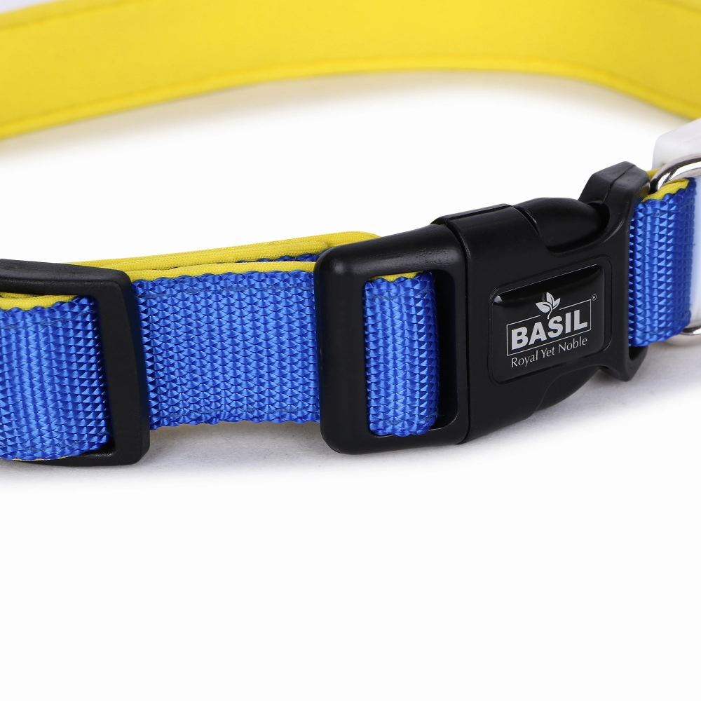 Basil Nylon Padded Collar for Dogs (Blue)