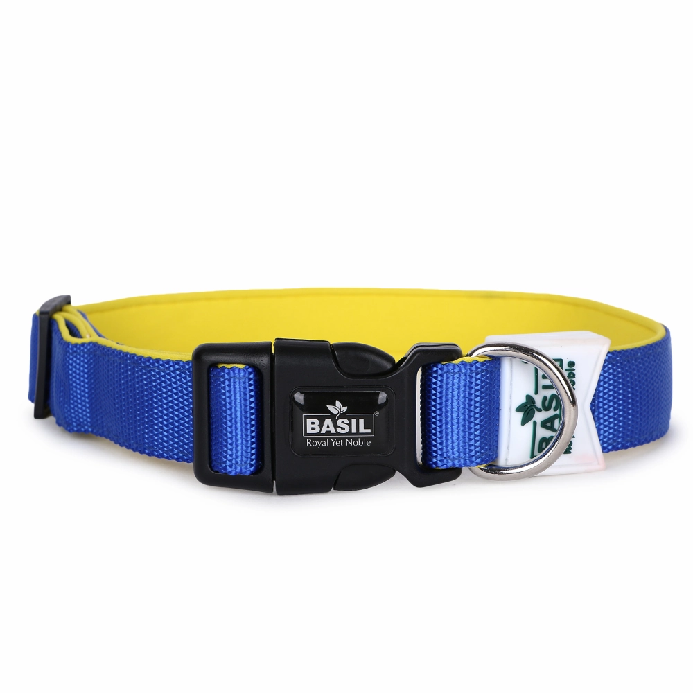 Basil Nylon Padded Collar for Dogs (Blue)