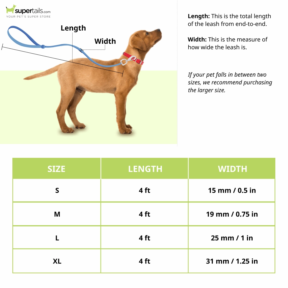 Basil Nylon Padded Leash for Dogs (Black)