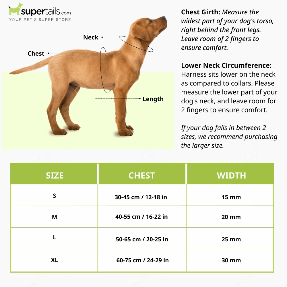 Basil Printed Adjustable Harness for Dogs (Green)