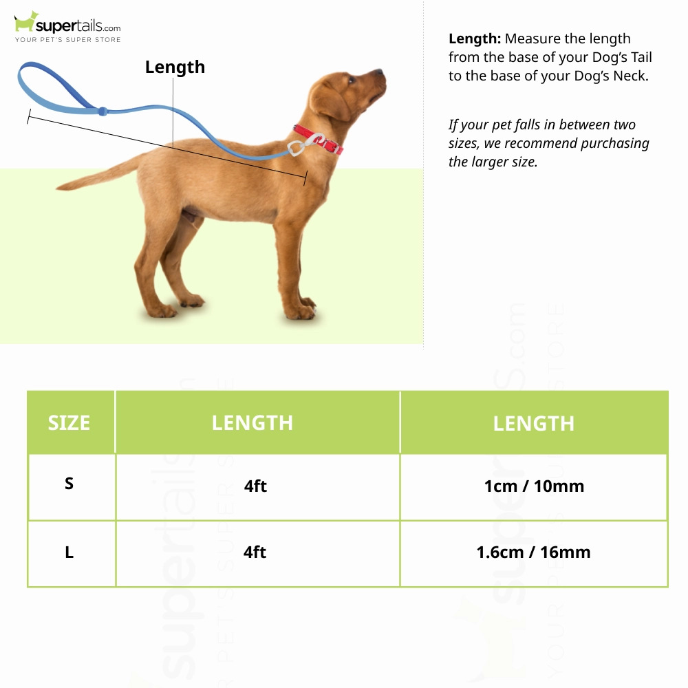 Basil Rope Leash for Dogs and Cats (Blue)
