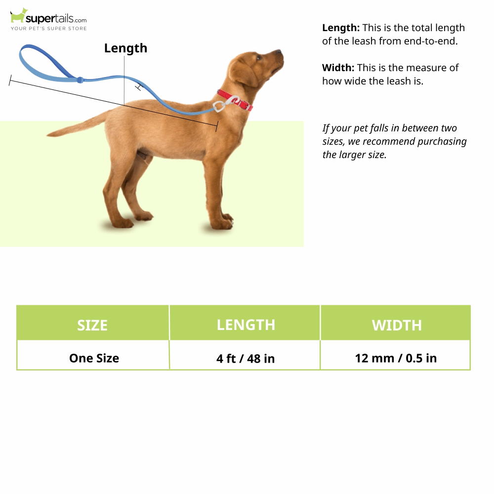 Basil Shock Absorbing Stretch Leash for Dogs (Green)