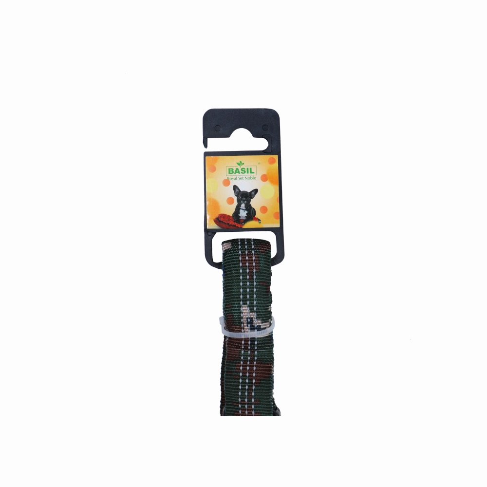Basil Shock Absorbing Stretch Leash for Dogs (Green)