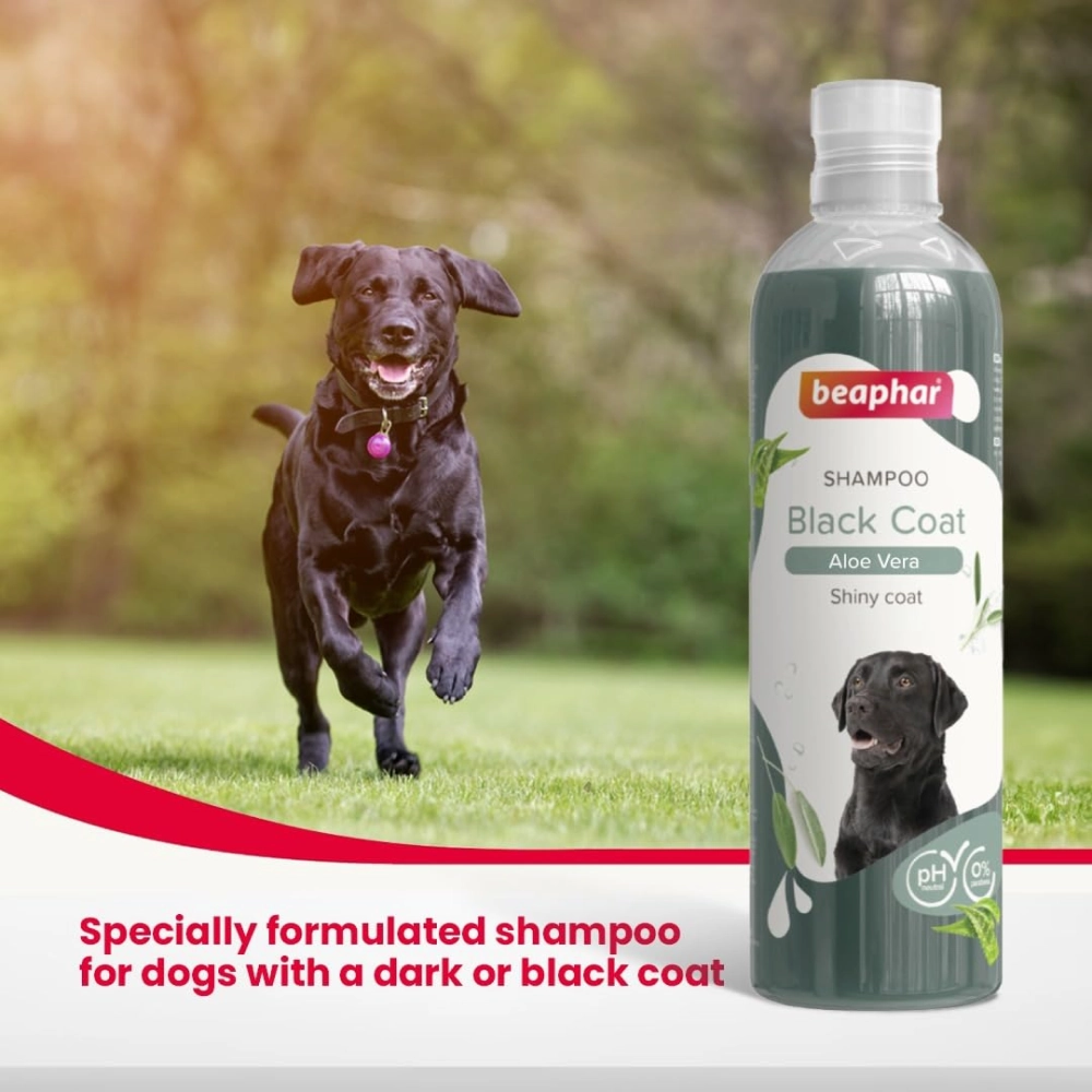 Beaphar Aleo Vera & Herbal Black Coat Shampoo for Dogs