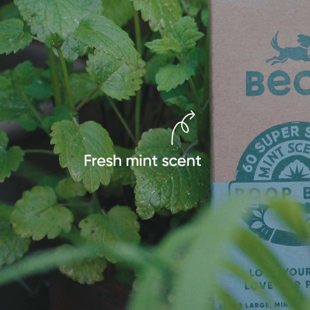 Beco Bags Degradable Poop Bags; Mint Scented or Unscented