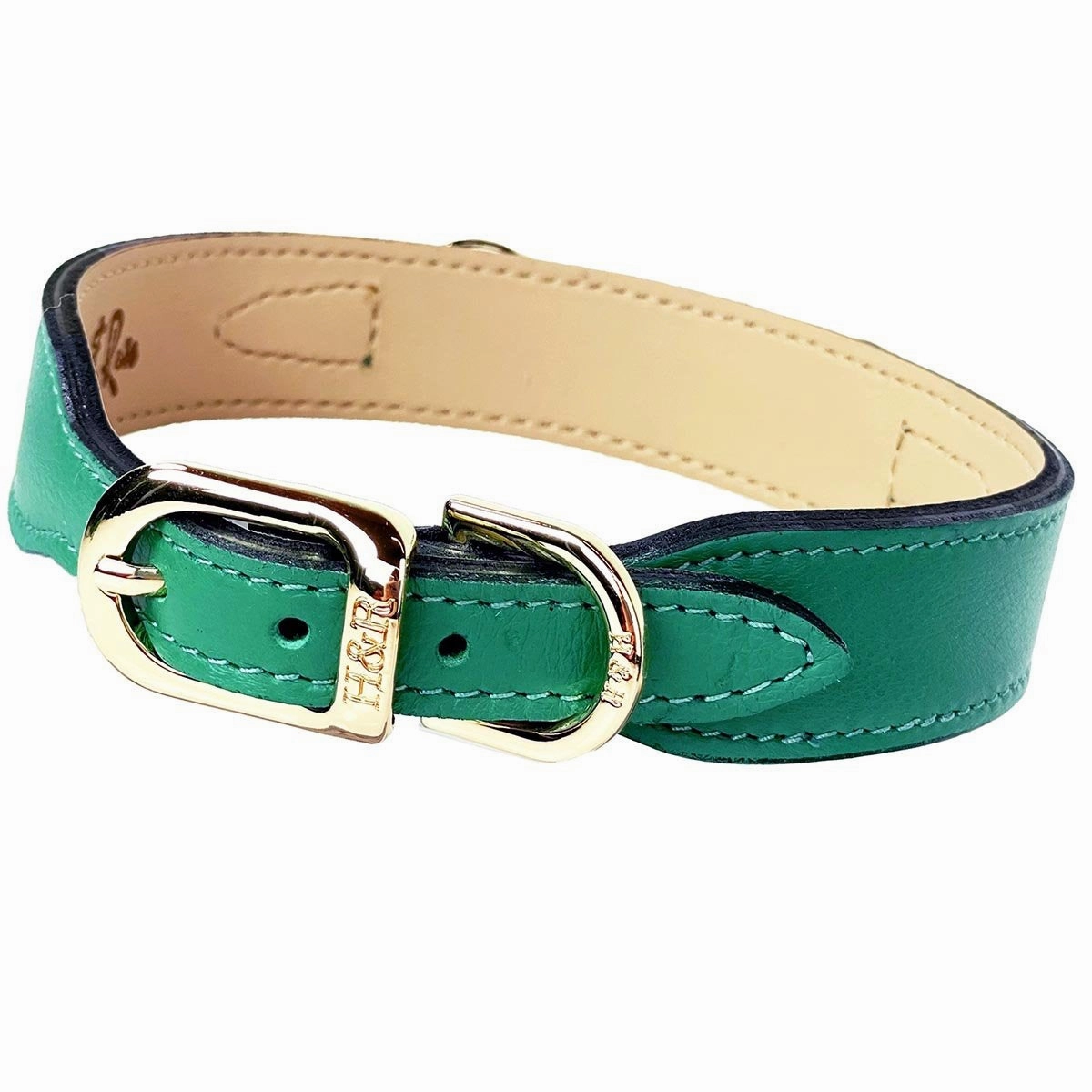 Belmont Collection Dog Collar Kelly Green/Gold