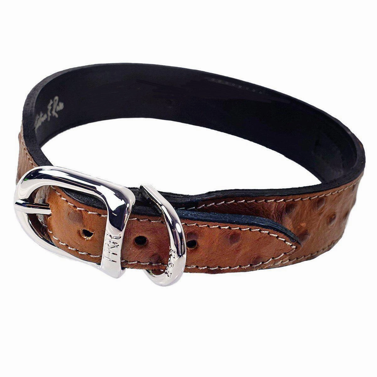 Belmont Collection Dog Collar Ostrich/Nickel