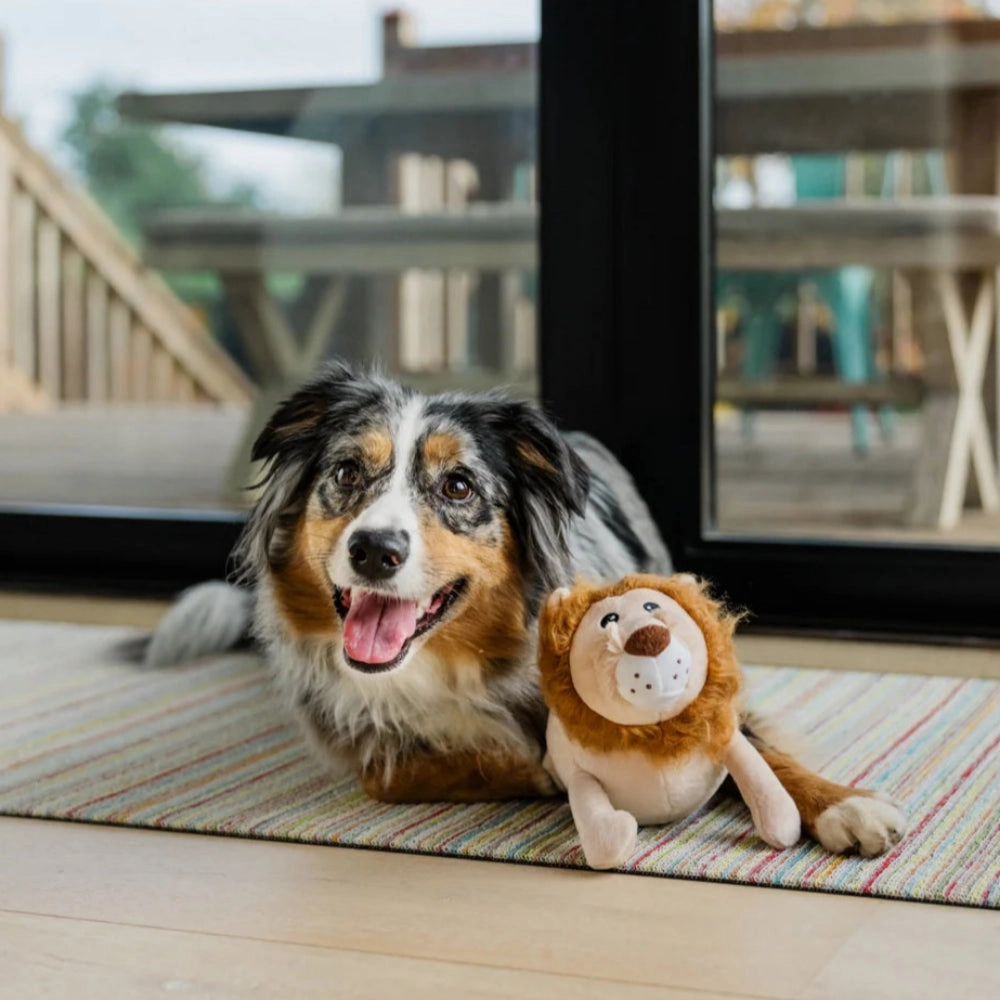 Big Five of Africa - Lion Dog Plush Toy
