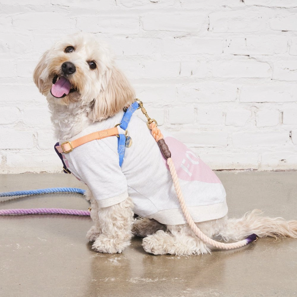 Big Full Heart Dog Tee Heather Gray/Mauve
