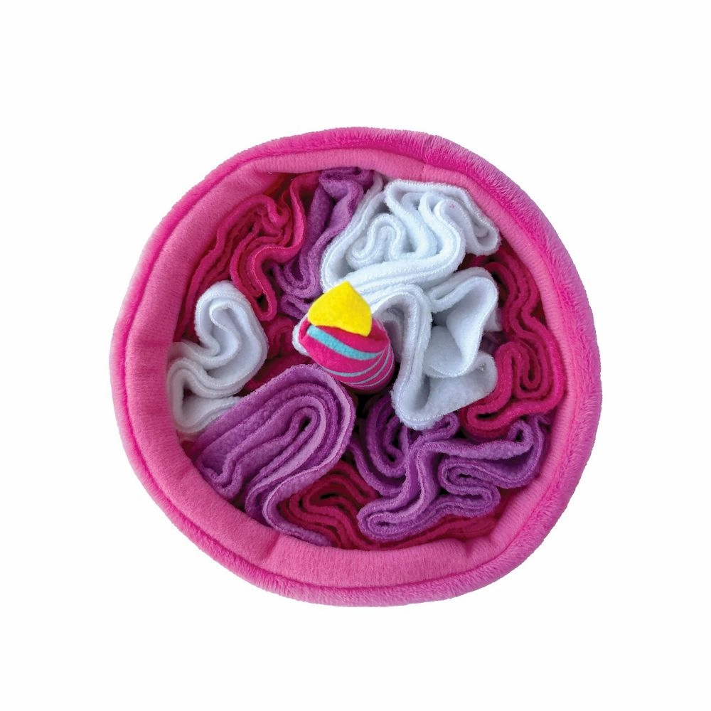 Birthday Cake Hide 'n Seek Dog Toy