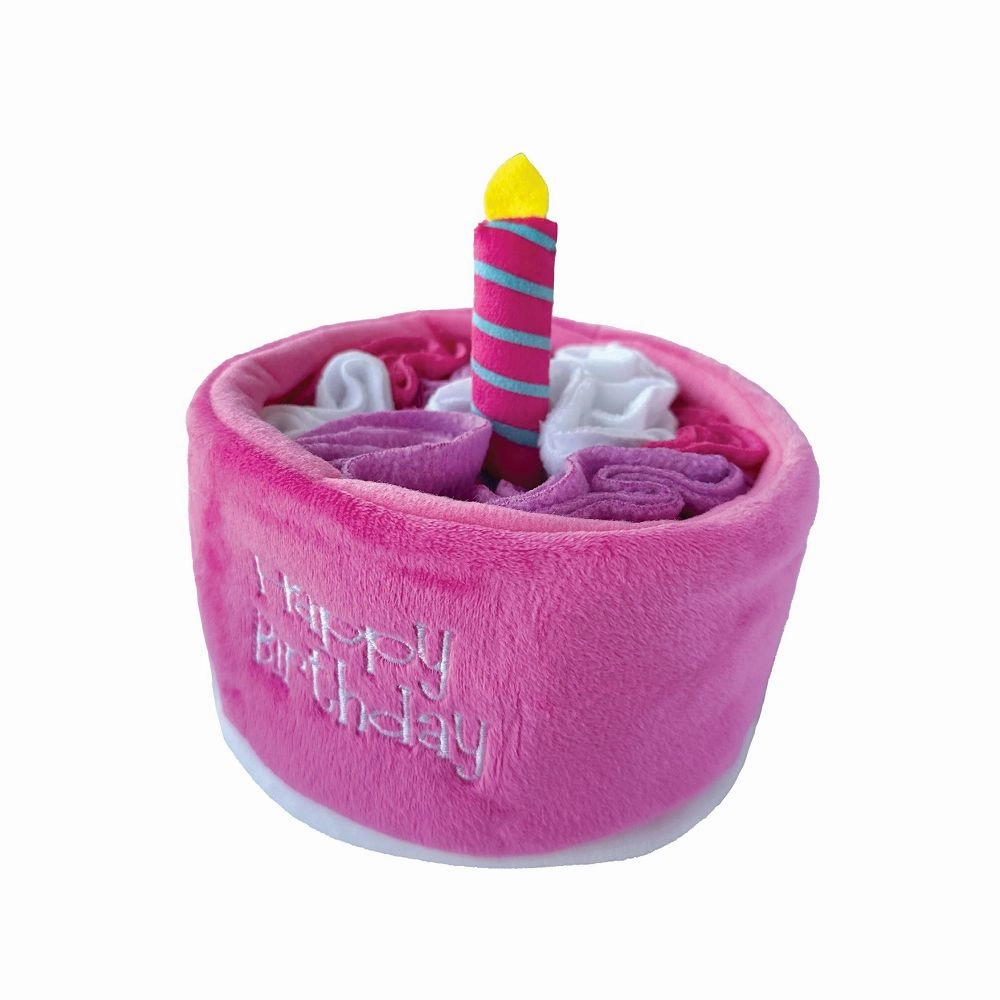 Birthday Cake Hide 'n Seek Dog Toy