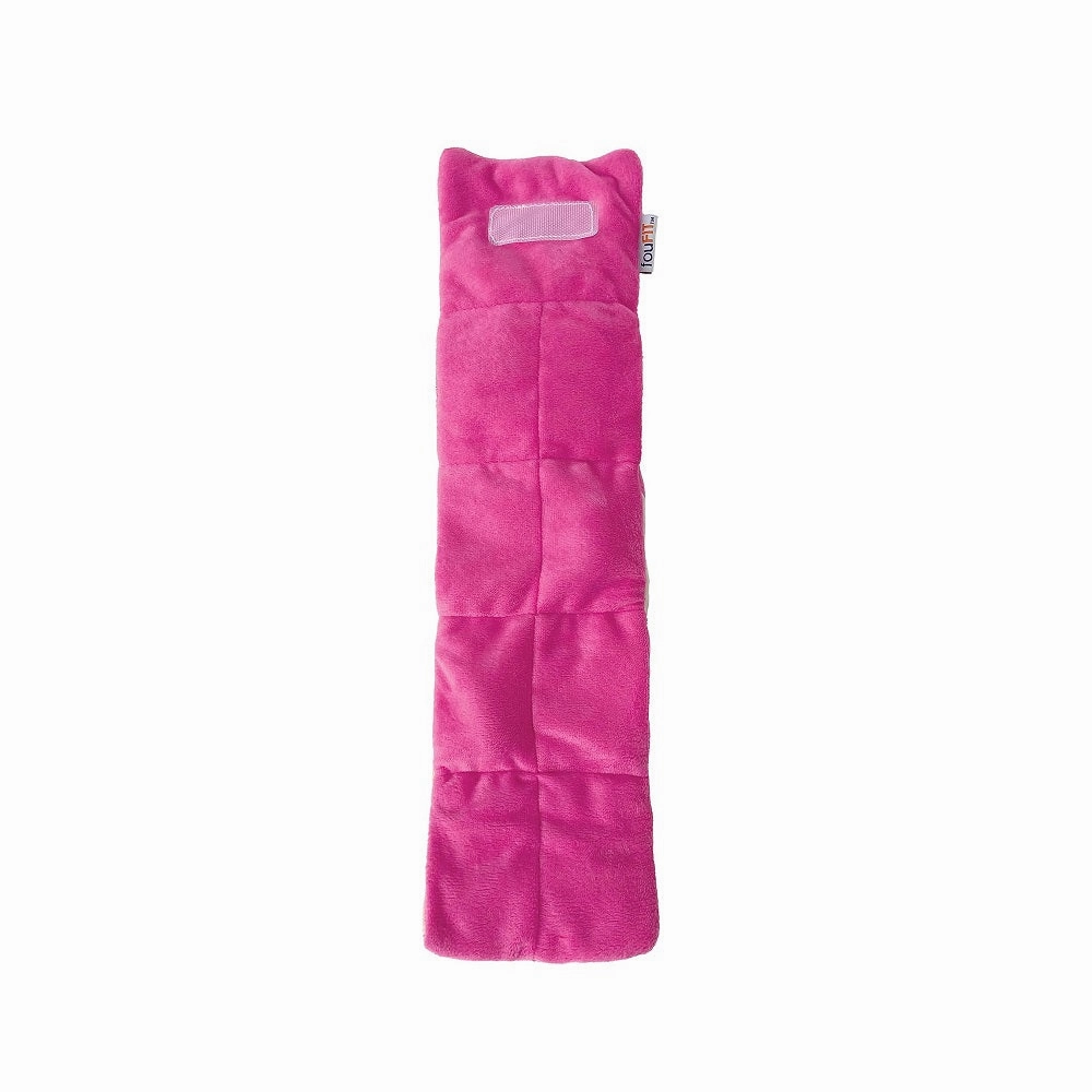 Birthday Roll Hide 'n Seek Dog Toy