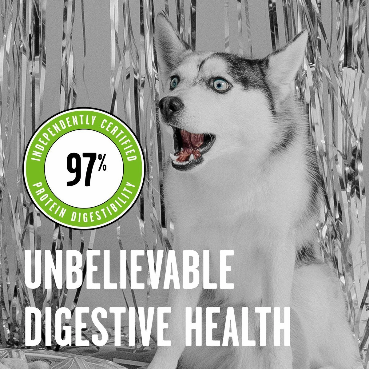 Bixbi Rawbble Freeze-Dried Pork Recipe Dog Food