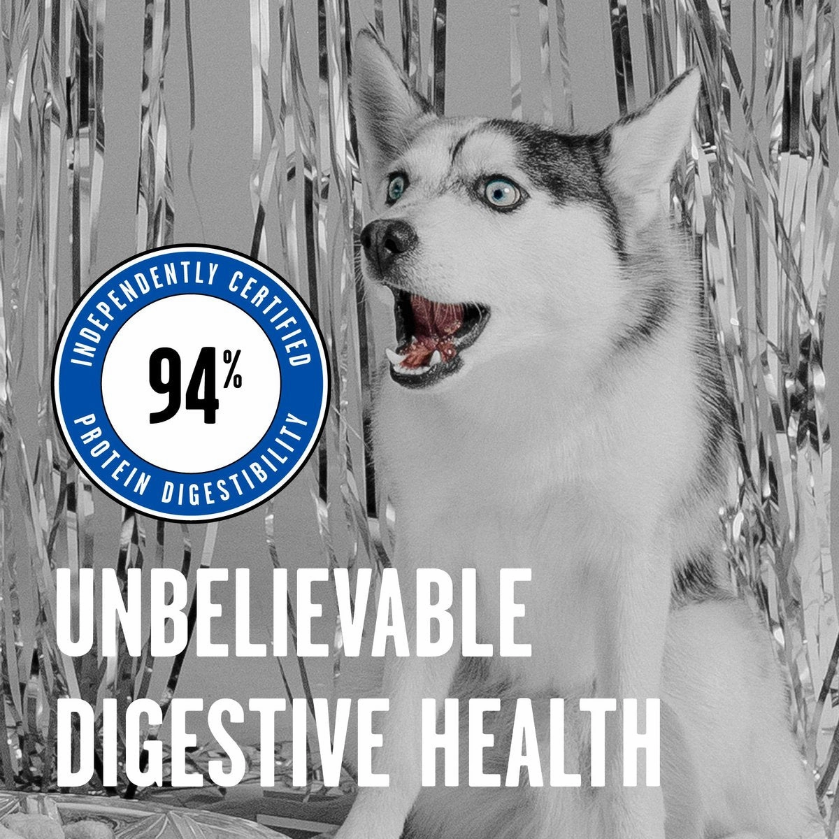 Bixbi Rawbble Freeze-Dried Turkey Recipe Dog Food