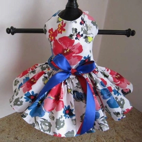 Blue And Red Floral Dog Dress XXSmall
