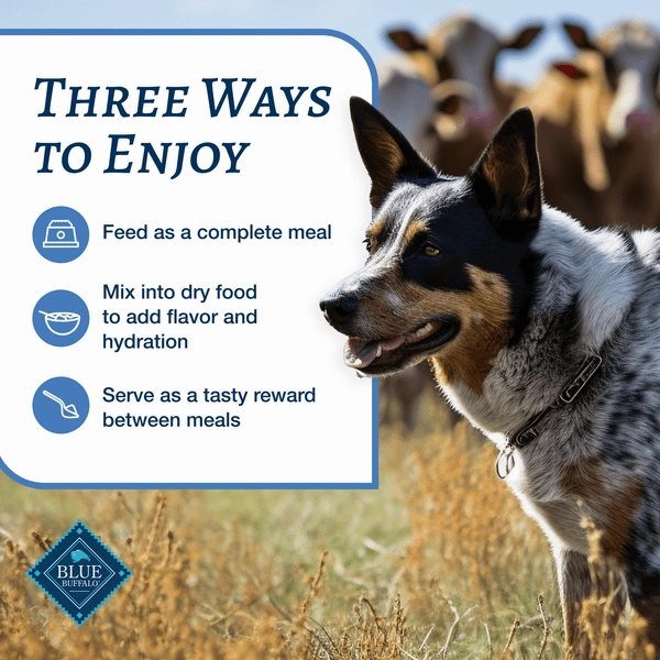BLUE Family Favorite Recipes Shepherd's Pie In Gravy Recipe Canned Dog Food