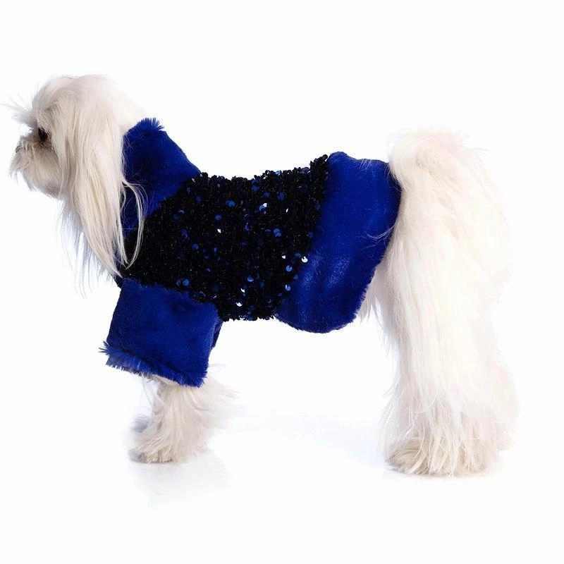 Blue Glitter Dog  Sweatshirt